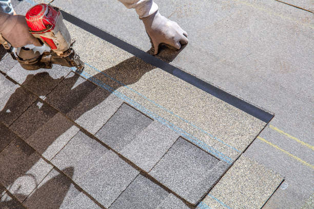 Best Metal Roofing Installation  in North East, MD